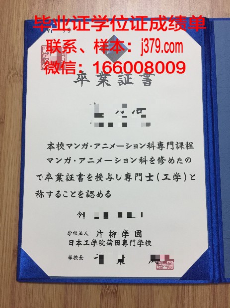 国立大学扎波罗热工学院毕业证成绩单：一张纸的重量