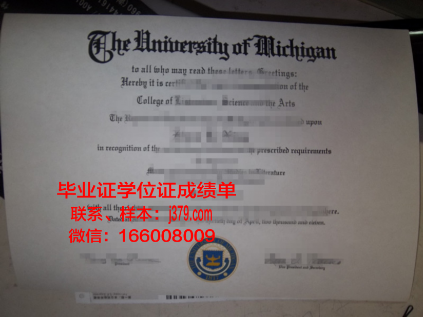 国家计算机与新兴科学大学本科毕业证：一张开启未来的钥匙