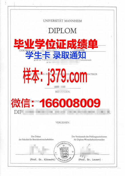 国立曼海姆音乐与表演艺术学院diploma证书(曼海姆大学mmm)