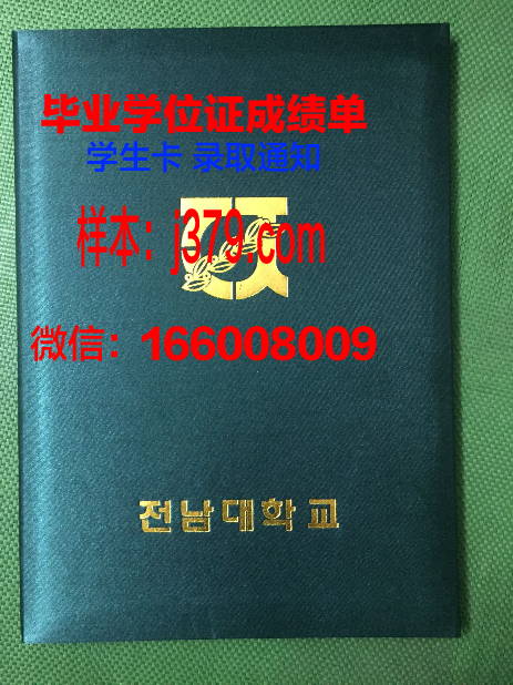 新西伯利亚经济心理学与法律学院毕业证壳子(新西伯利亚国立经济管理大学)