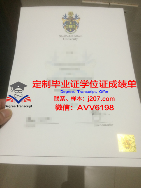 BallinaHighSchool毕业证认证成绩单Diploma