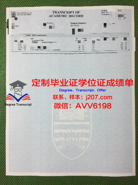 埃因霍温理工大学：大博士毕业证书的荣光与价值