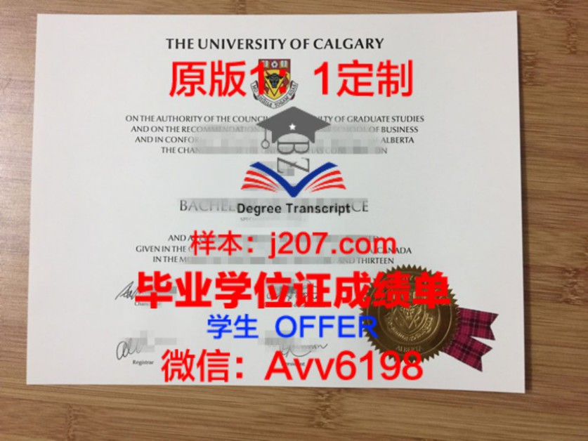 圣彼得堡国立经济大学录取通知书OFFER定制，开启你的俄罗斯留学之旅