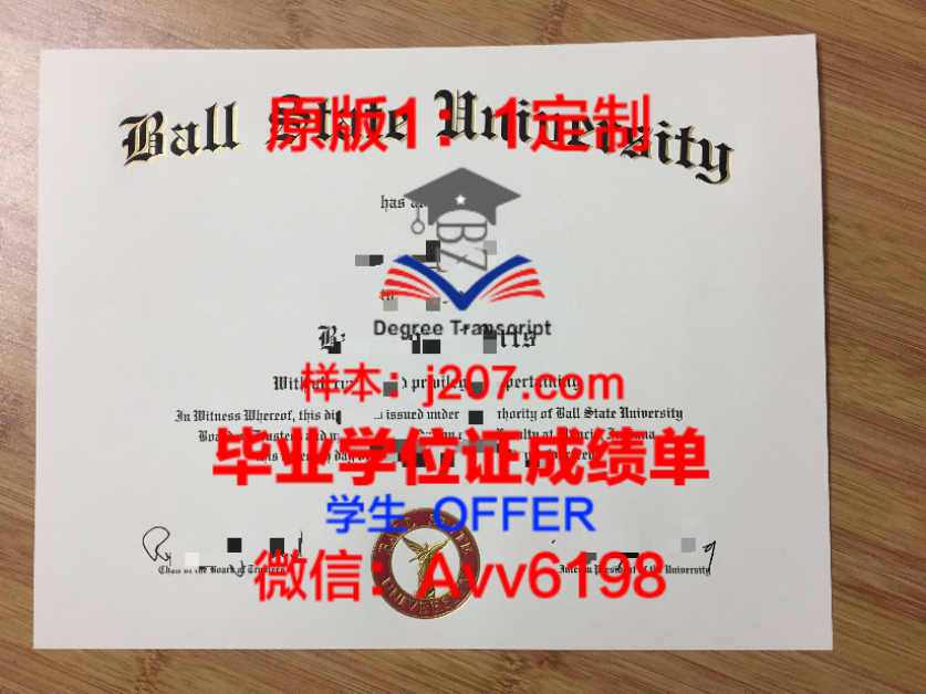 克劳斯塔尔工业大学成绩单(德国克劳斯塔尔工业大学机械系毕业)