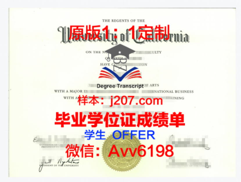 北京大学毕业证书编号多少位(北京大学学历证书编号)